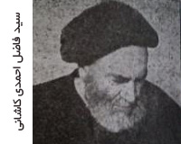 سید فاضل احمدی کاشانی
