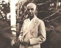 سقوط با یک تلنگر