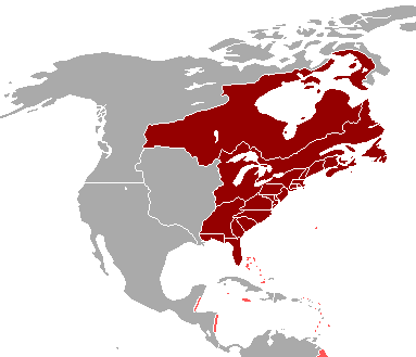 مستعمرات انگلیس در قاره آمریکا (۱۷۶۳–۱۷۷۶م)