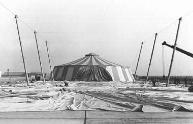 ایده جشن‌های ۲۵۰۰ساله را نخستین‌بار چه کسانی مطرح کردند؟